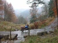 0171 gs @ worlds end resize.jpg