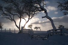 january 9th 2010 snow micks 064.jpg