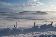january 9th 2010 snow micks 070.jpg