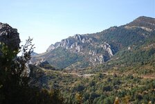 pic 10.jpg