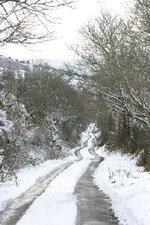 PA_IMG_0190_sml.jpg