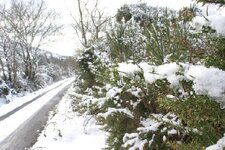 PA_IMG_0196_sml.jpg