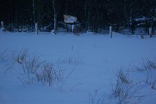 january 9th 2010 snow micks 082.jpg