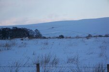 january 9th 2010 snow micks 084.jpg