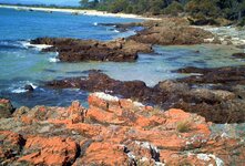 PICT0075.JPG