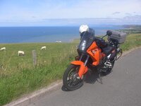 holiday 2009 250.jpg