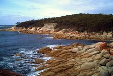 PICT0103.JPG