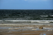 Donegal and Kesh Apr 2009 012.jpg