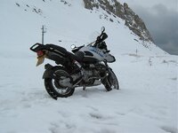 IMG_0131.jpg IMG_0131.jpg