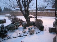 IMG_1768.jpg