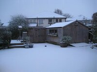 IMG_1769.jpg