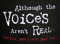 T-Shirt-Although-the-Voices-Are-Not-Real-They-have-some-pretty-good-ideas-756604.jpg