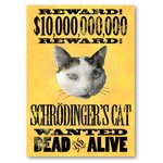 wanted_schrodingers_cat_poster-p228139542906623252tdar_525.jpg