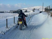 bike 19.jpg