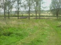 DSC00044.jpg