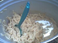 noodles.jpg