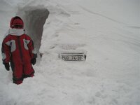 Picture1.jpg