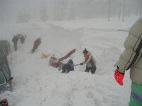 Picture1.jpg