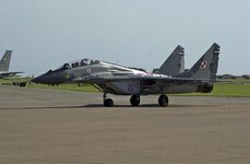 DSC_0019a.jpg