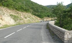 P1000985.jpg