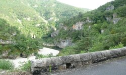 P1010003.jpg
