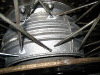 IMG_3952.jpg