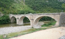 P1010023.jpg