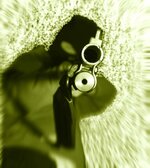 cropped shotgun.jpg