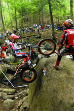 trialsgp_side.jpg