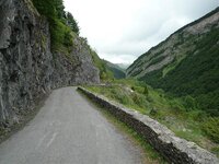 P1010051.jpg