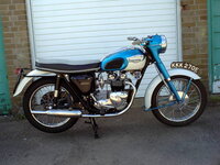 1-dtriumph 21.jpg