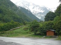 P1010063.jpg