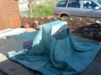DSC00269.jpg