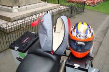 DSC01185-downsized.jpg