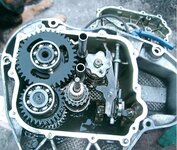 In Da Gearbox.JPG