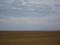 IMG_3756.jpg