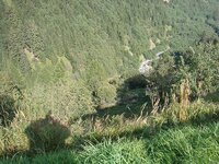 DSC01025.jpg