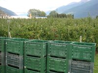DSC01084.jpg