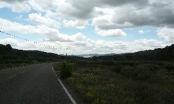 P1010109.jpg
