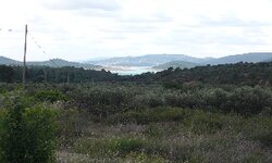 P1010110.jpg