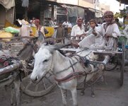 Jocababad-1.jpg