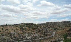 P1010147.jpg