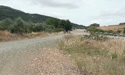 P1010169.jpg