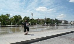P1010186.jpg