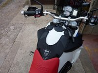 harness rear.JPG