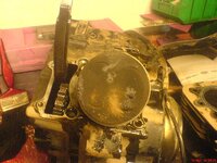 DSC00116.jpg