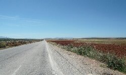 P1010205.jpg