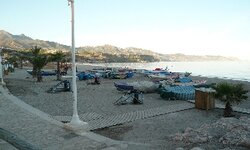 P1010229.jpg