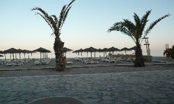 P1010230.jpg
