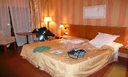 P1010233.jpg